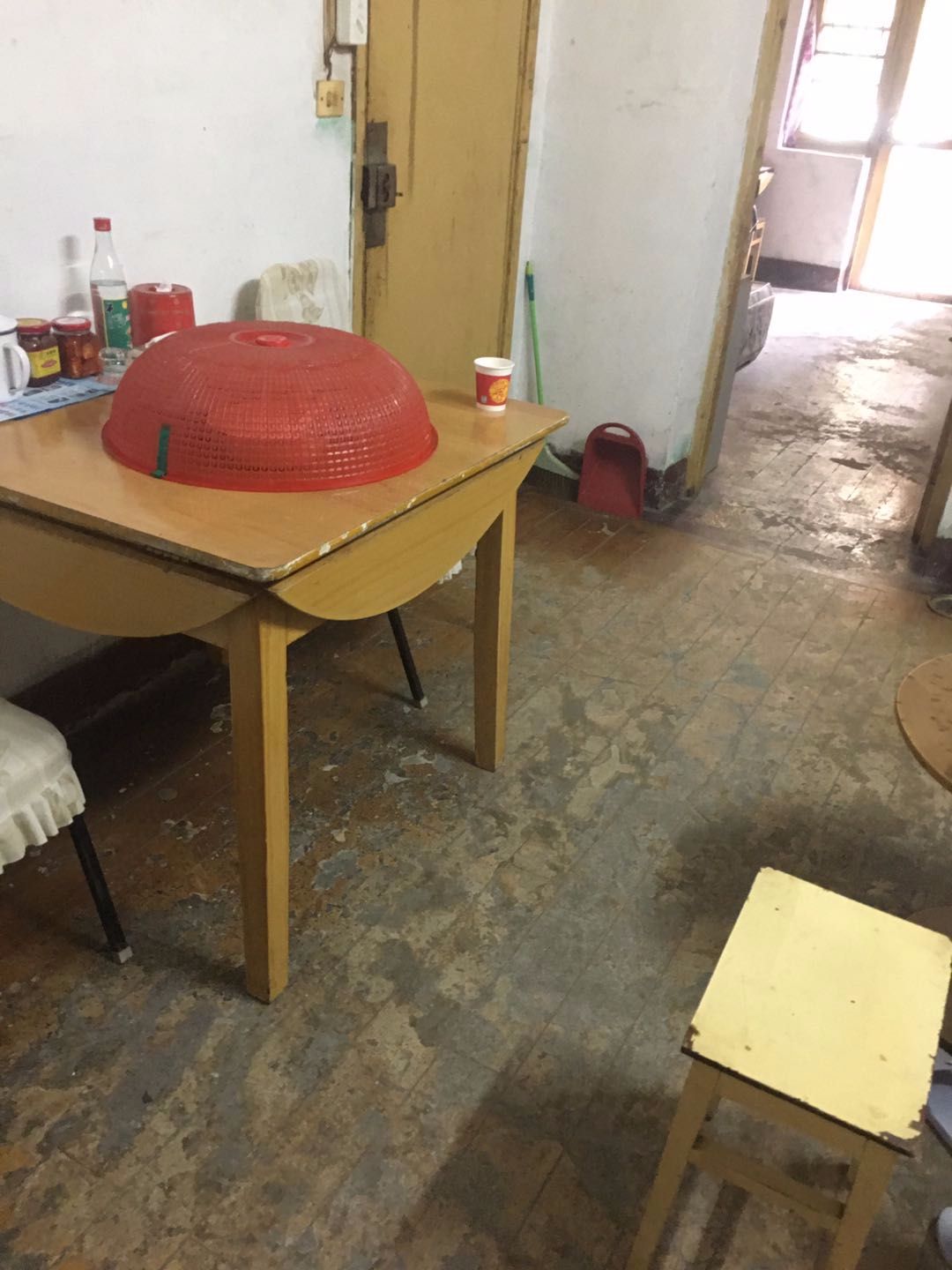 ��ï��Ժ����