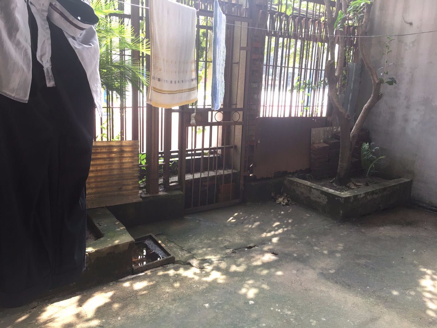 ��ï��Ժ����