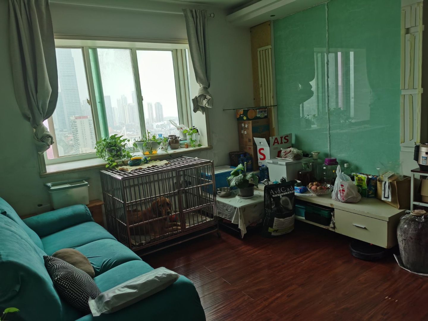 九运京汉名都房间