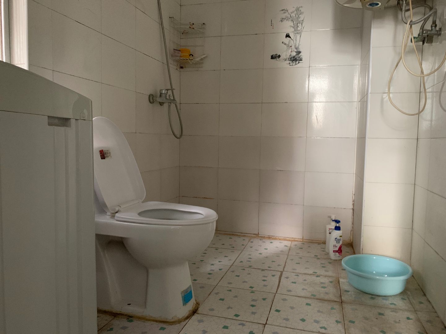 ��̲���Ȫ����