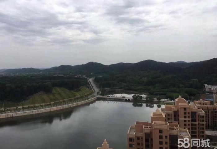 龙山观邸